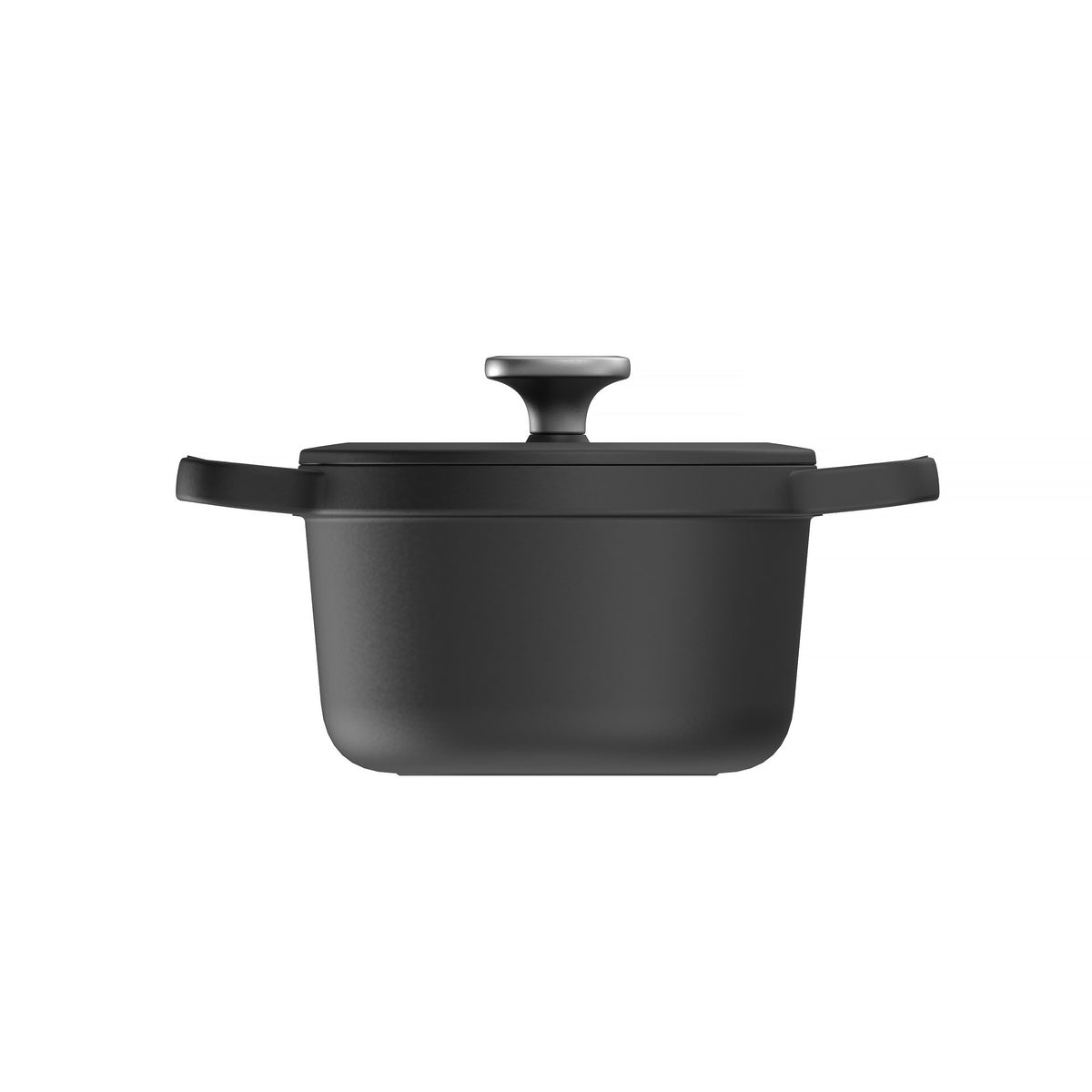 Graphite ketaus troškintuvas su dangčiu 20 cm – 2