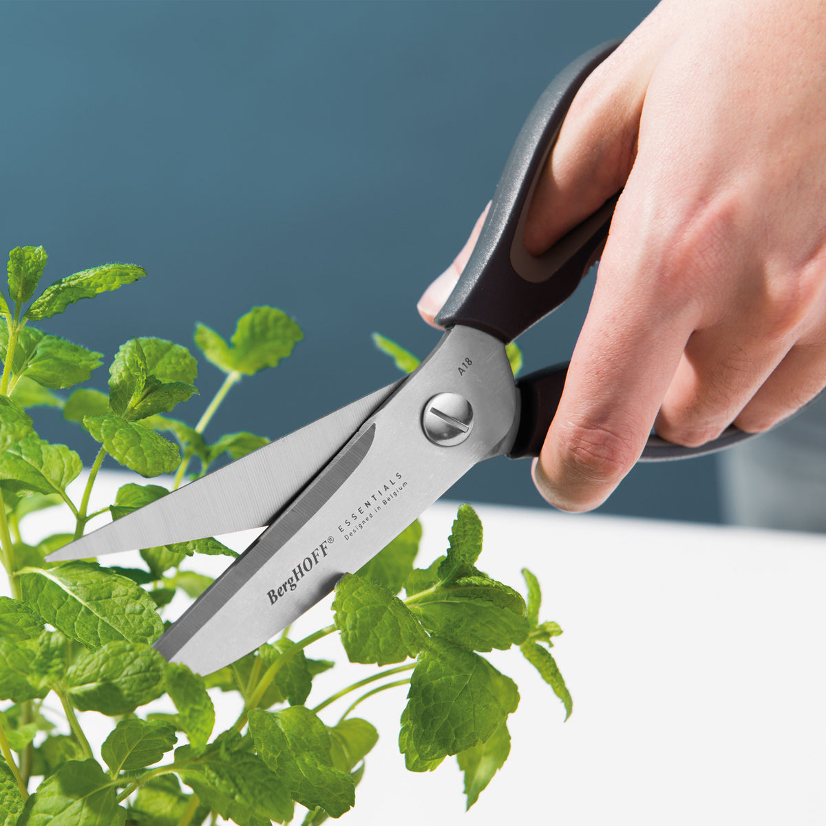 Essentials Kitchen Scissors 22 cm – 2
